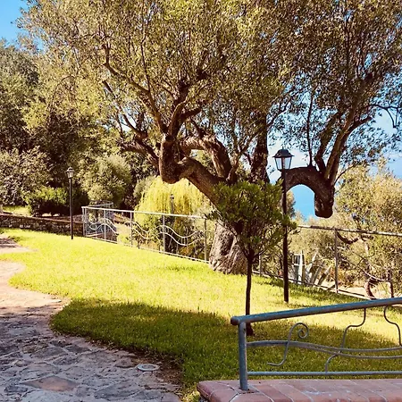 Apartment 1 Bedroom Beautiful In Ascea
